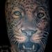 Tattoos - leopard - 66101